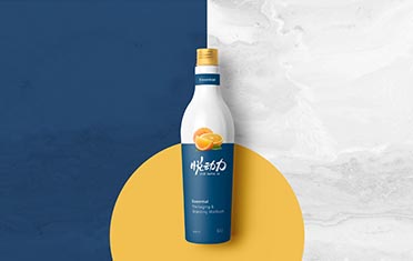 湖北某动力 品牌设计